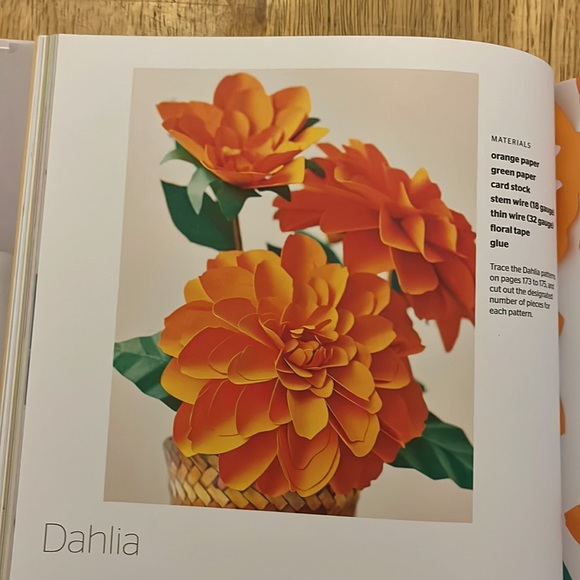 The Art of Paper Flowers By Bobby Pearce - Picture 10 of 12